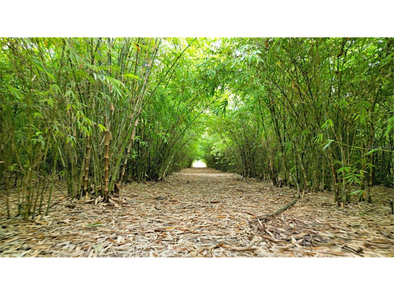 1015 Mount Pisgah Road Fort Meade FL 33841 P4937087 image20