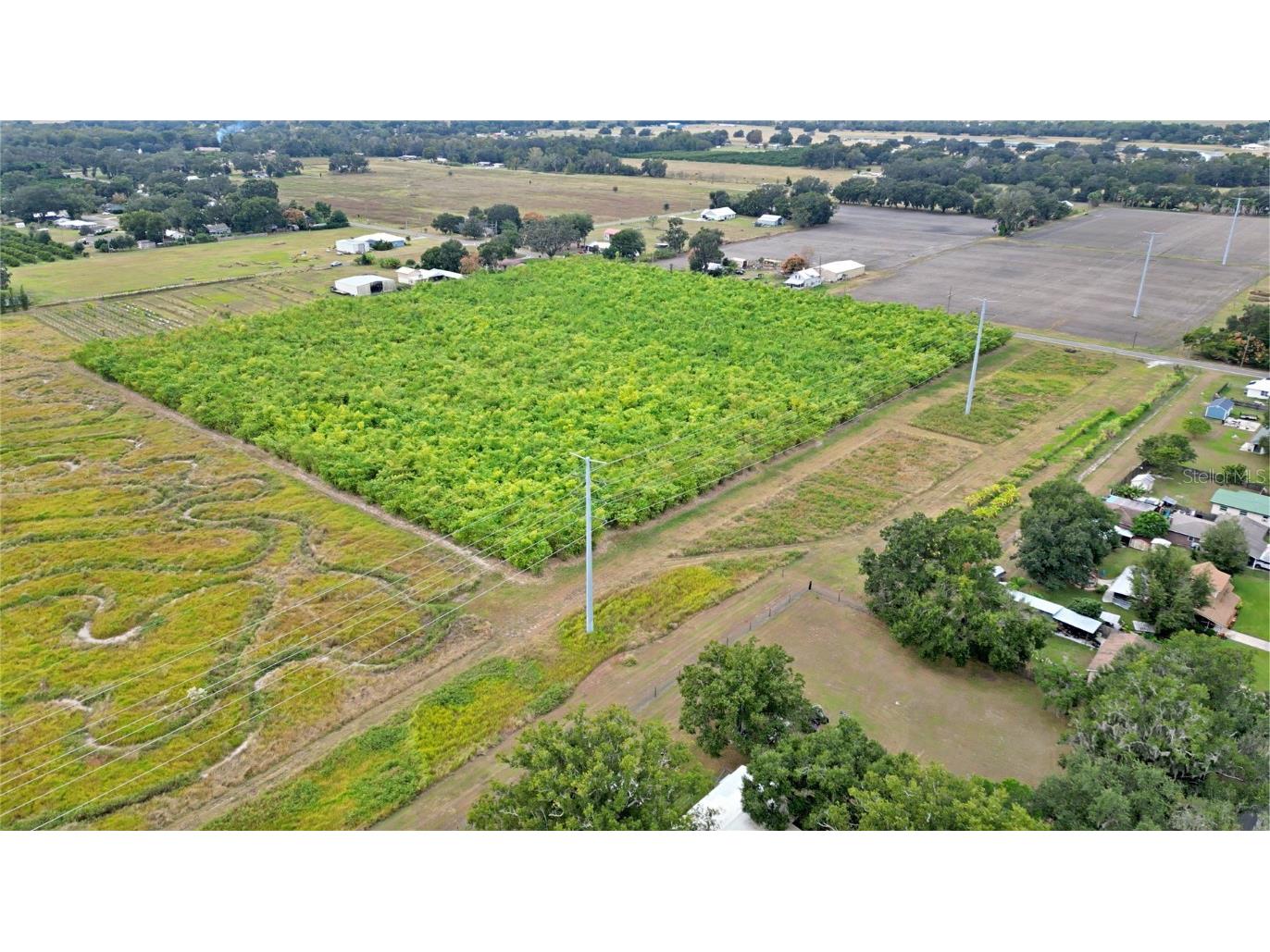 1015 Mount Pisgah Road Fort Meade FL 33841 P4937087 image3