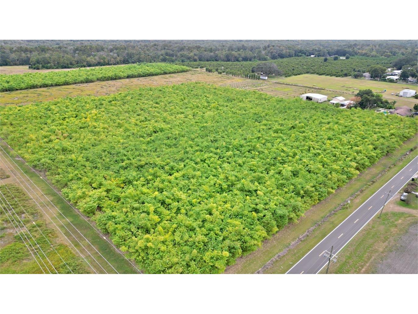 1015 Mount Pisgah Road Fort Meade FL 33841 P4937087 image4