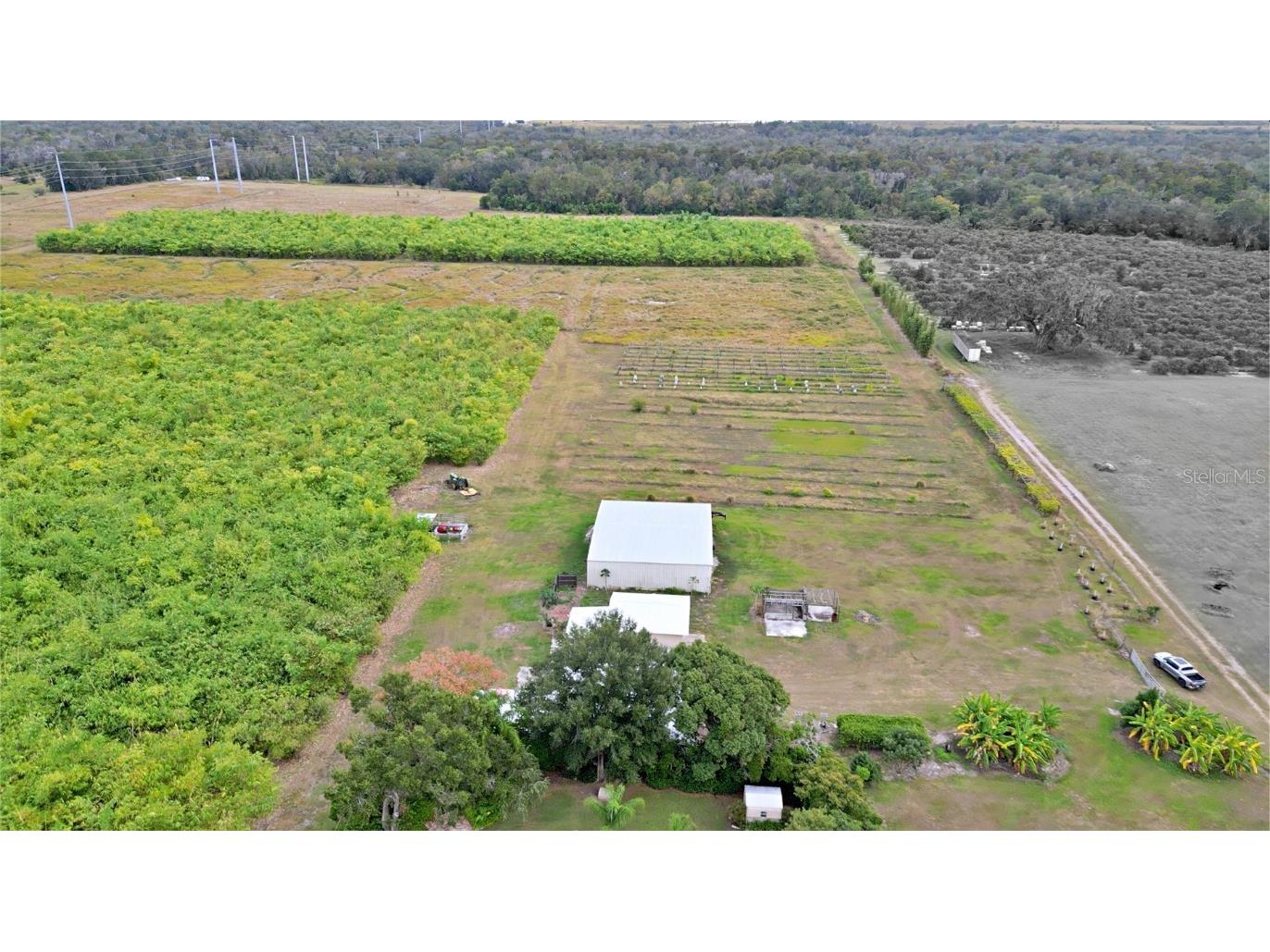 1015 Mount Pisgah Road Fort Meade FL 33841 P4937087 image5