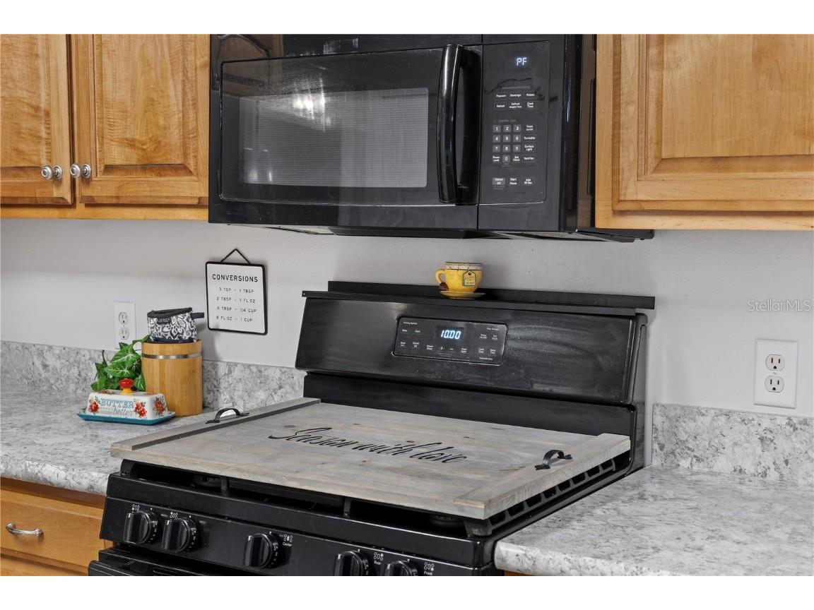 1015 NE Northwood Drive Mayo FL 32066 GC531607 image14