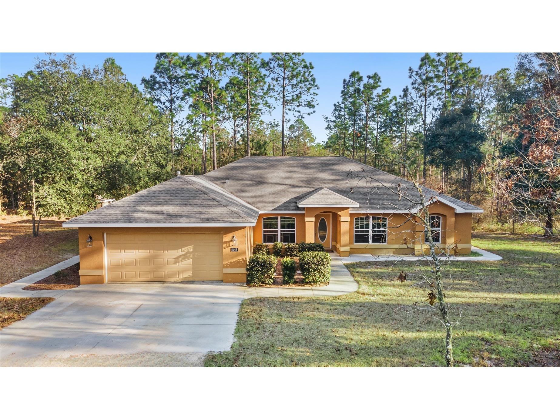 1015 NW 165th Court Road Dunnellon FL 34432 OM693474 image1