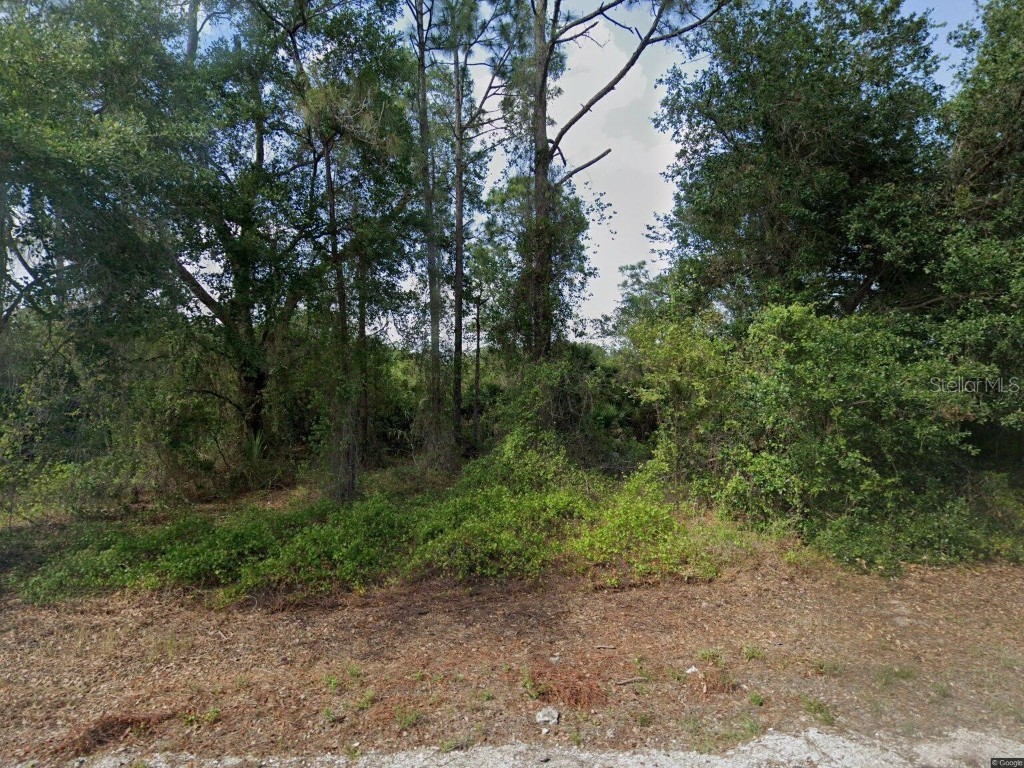 1015 Pilgrim Street E Lehigh Acres FL 33974 O6351316 image1