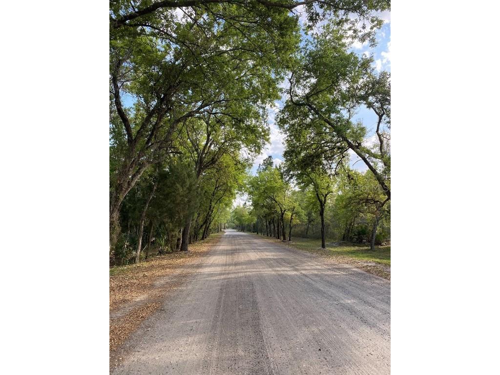 1015 Sable Palm Drive Christmas FL 32709 O6345533 image1