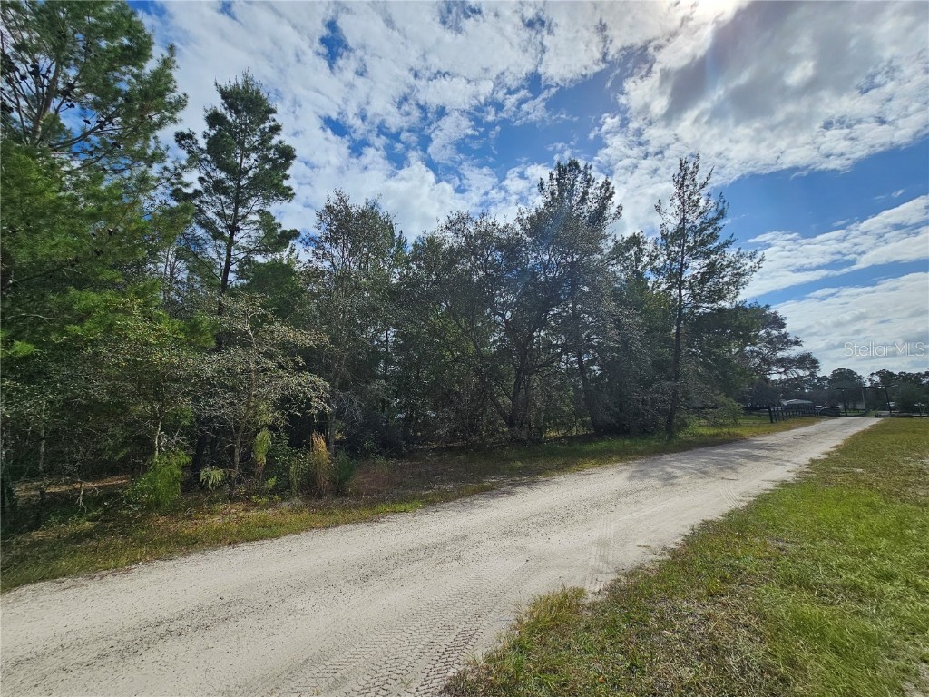 1015 Seminole Bear Trail Pierson FL 32180 V4932993 image1
