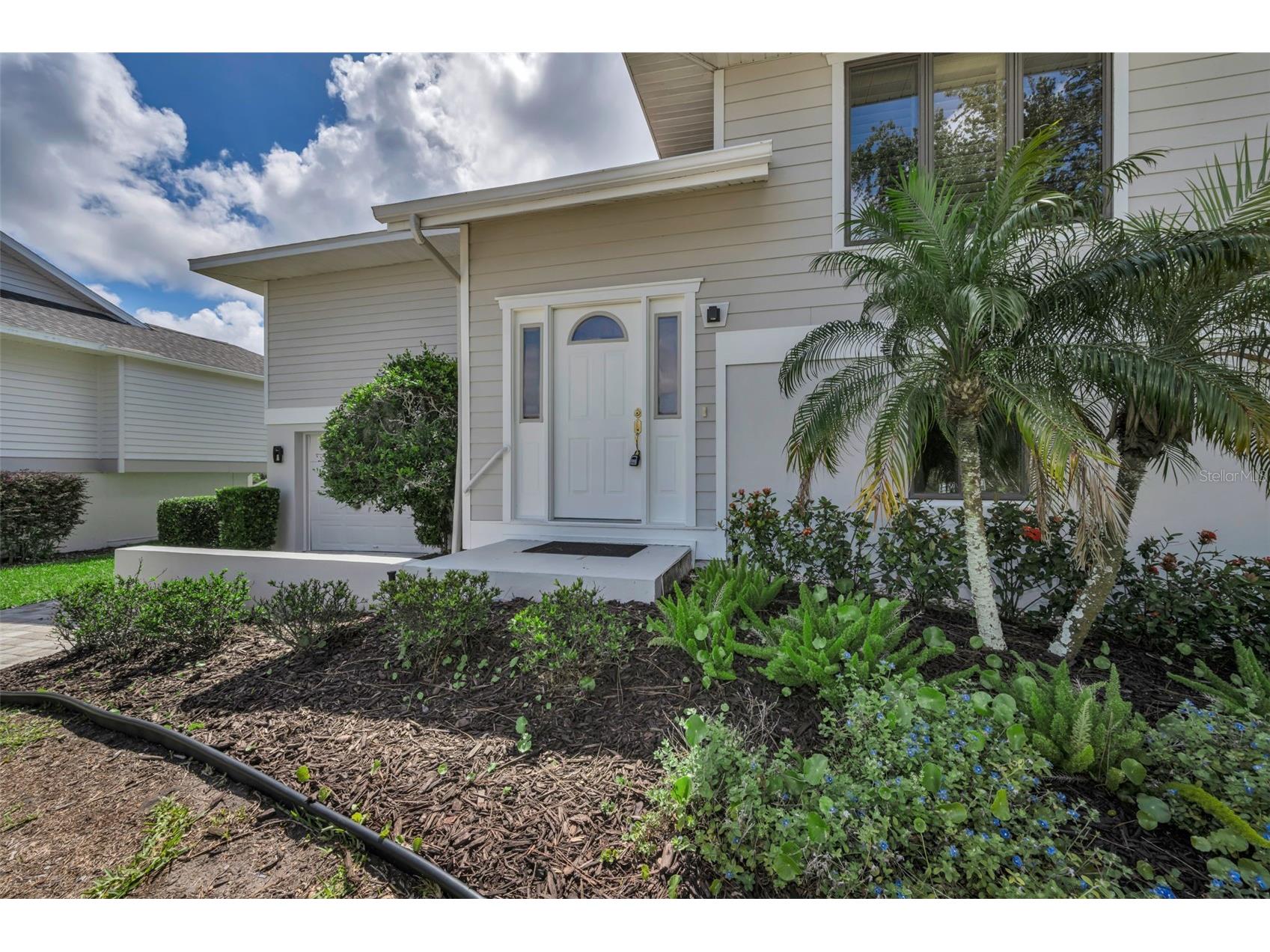 1015 Teal Pointe Tarpon Springs FL 34689 - LAKE AVOCA TB8513532 image11