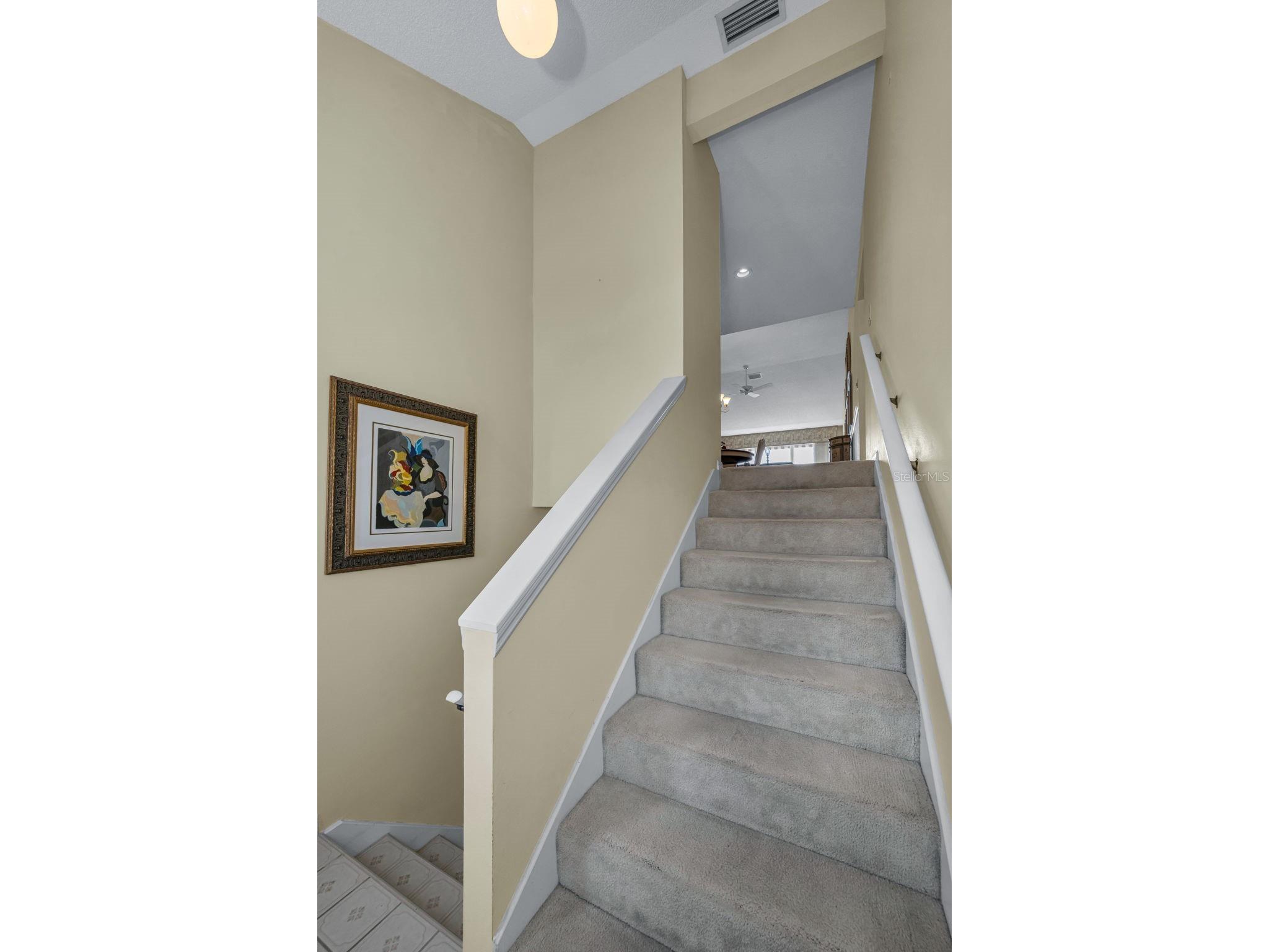 1015 Teal Pointe Tarpon Springs FL 34689 - LAKE AVOCA TB8513532 image14