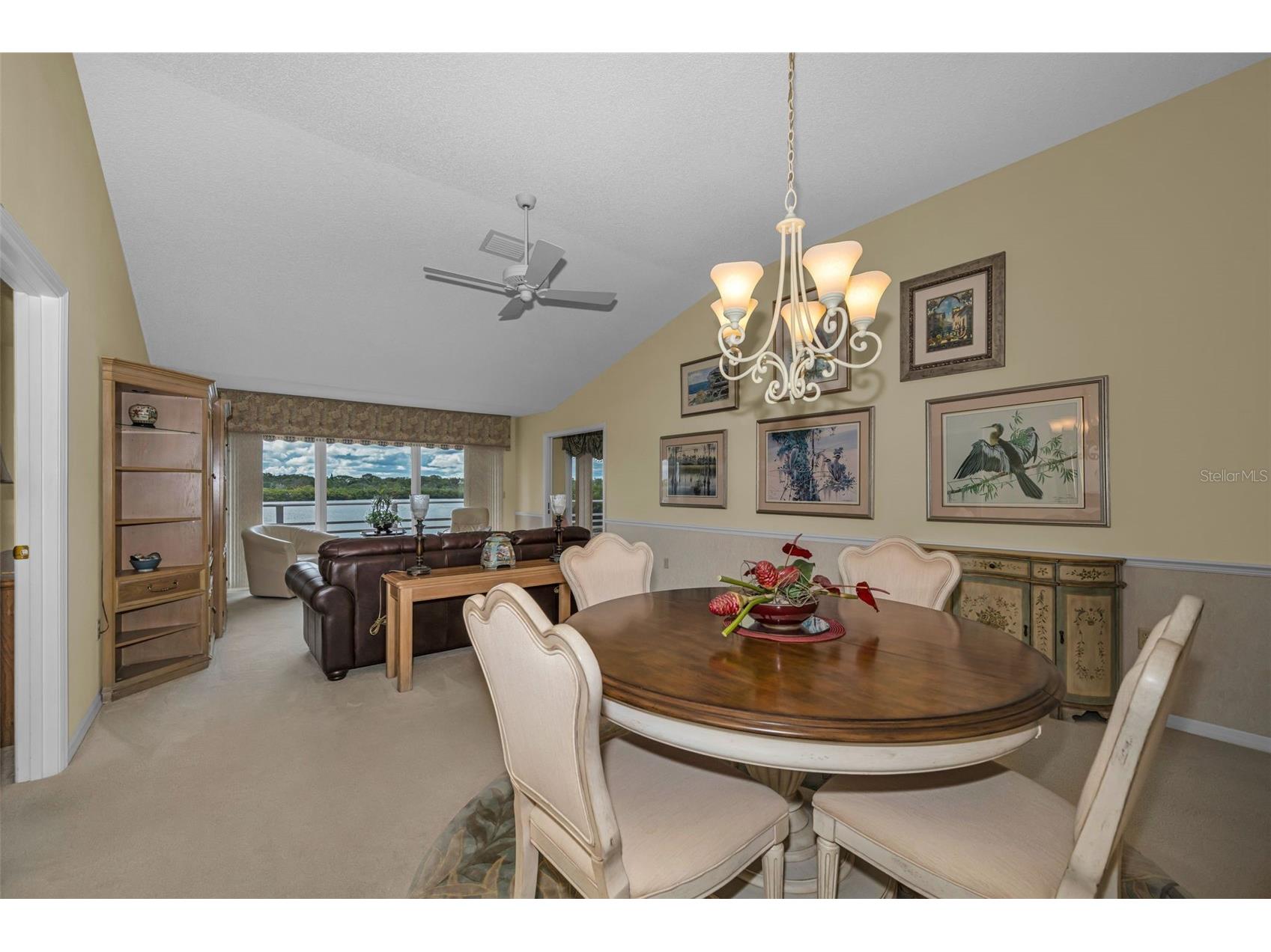 1015 Teal Pointe Tarpon Springs FL 34689 - LAKE AVOCA TB8513532 image17