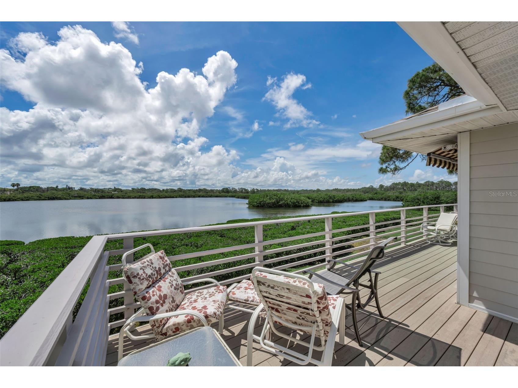 1015 Teal Pointe Tarpon Springs FL 34689 - LAKE AVOCA TB8513532 image21
