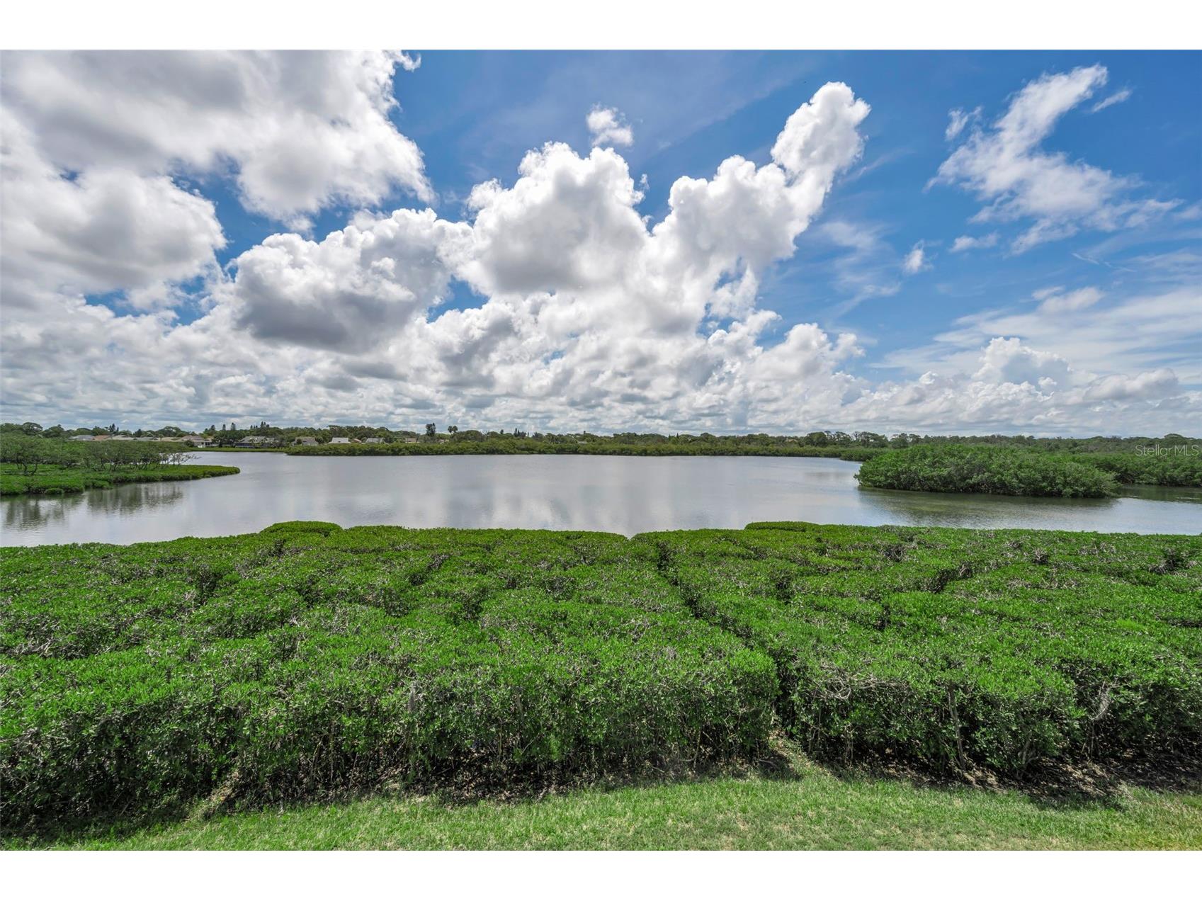 1015 Teal Pointe Tarpon Springs FL 34689 - LAKE AVOCA TB8513532 image22