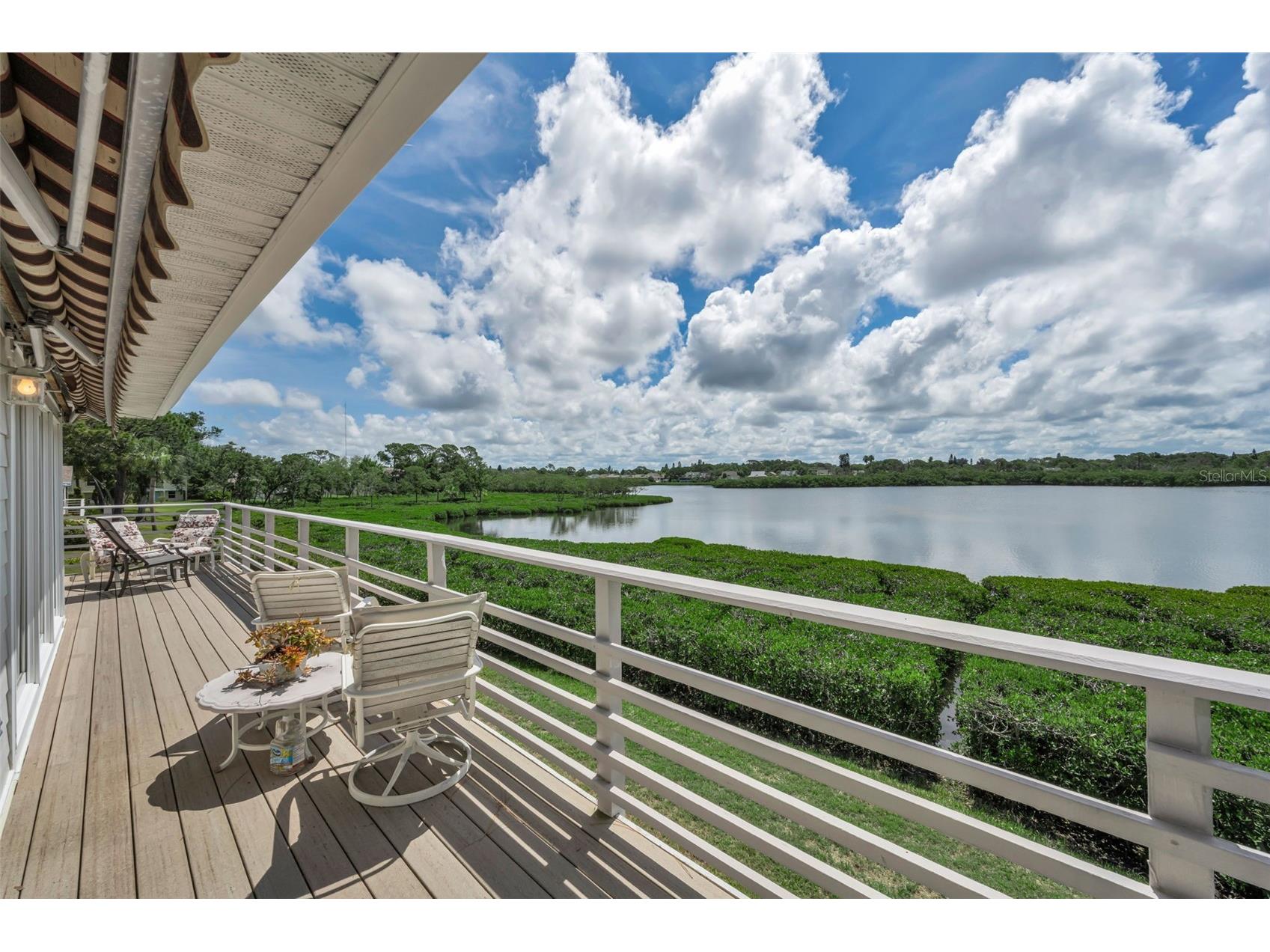 1015 Teal Pointe Tarpon Springs FL 34689 - LAKE AVOCA TB8513532 image23