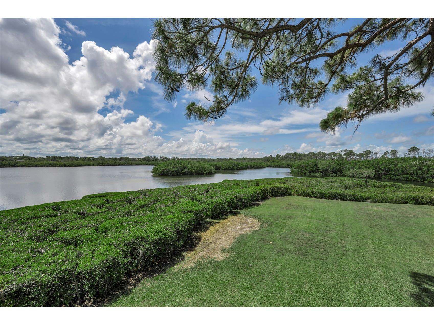 1015 Teal Pointe Tarpon Springs FL 34689 - LAKE AVOCA TB8513532 image24