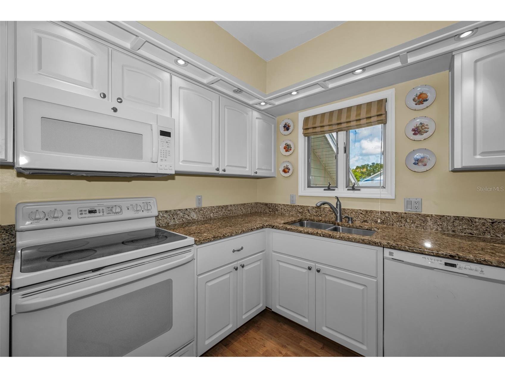 1015 Teal Pointe Tarpon Springs FL 34689 - LAKE AVOCA TB8513532 image33