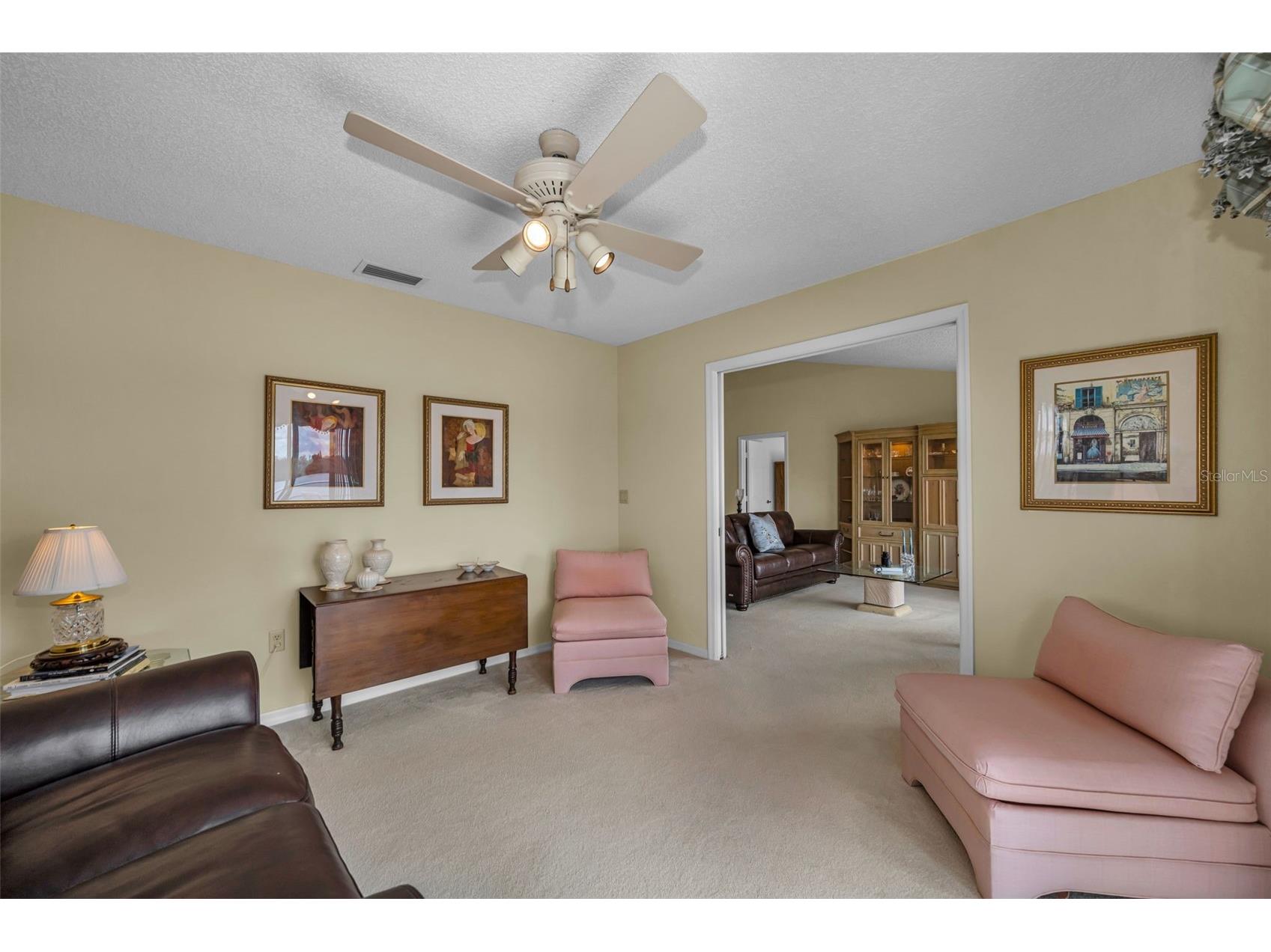 1015 Teal Pointe Tarpon Springs FL 34689 - LAKE AVOCA TB8513532 image38