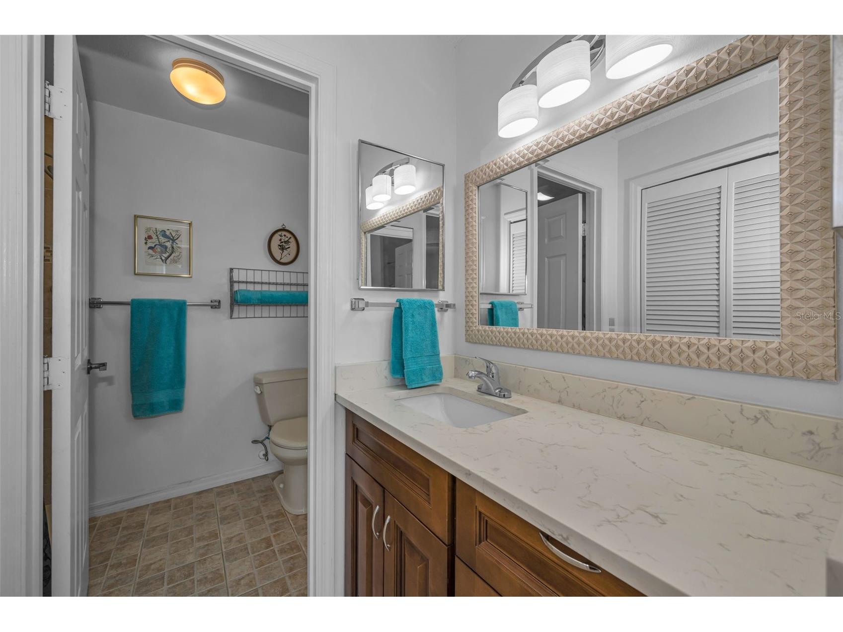 1015 Teal Pointe Tarpon Springs FL 34689 - LAKE AVOCA TB8513532 image43