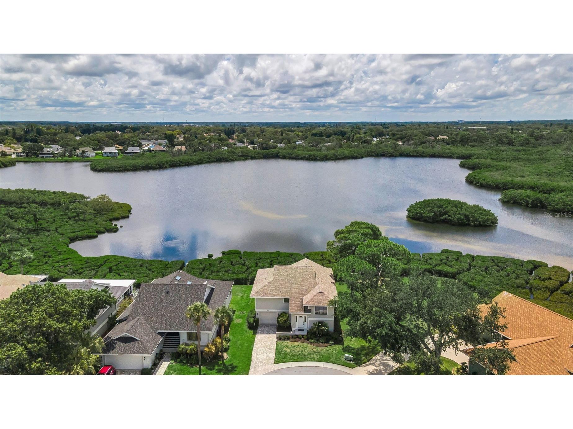 1015 Teal Pointe Tarpon Springs FL 34689 - LAKE AVOCA TB8513532 image5