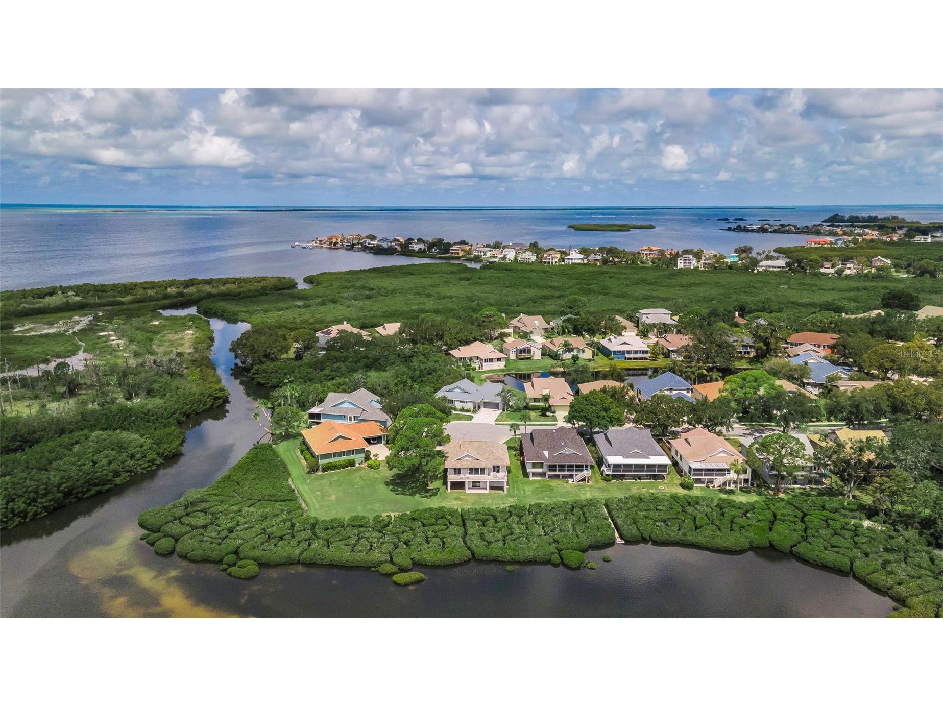1015 Teal Pointe Tarpon Springs FL 34689 - LAKE AVOCA TB8513532 image54