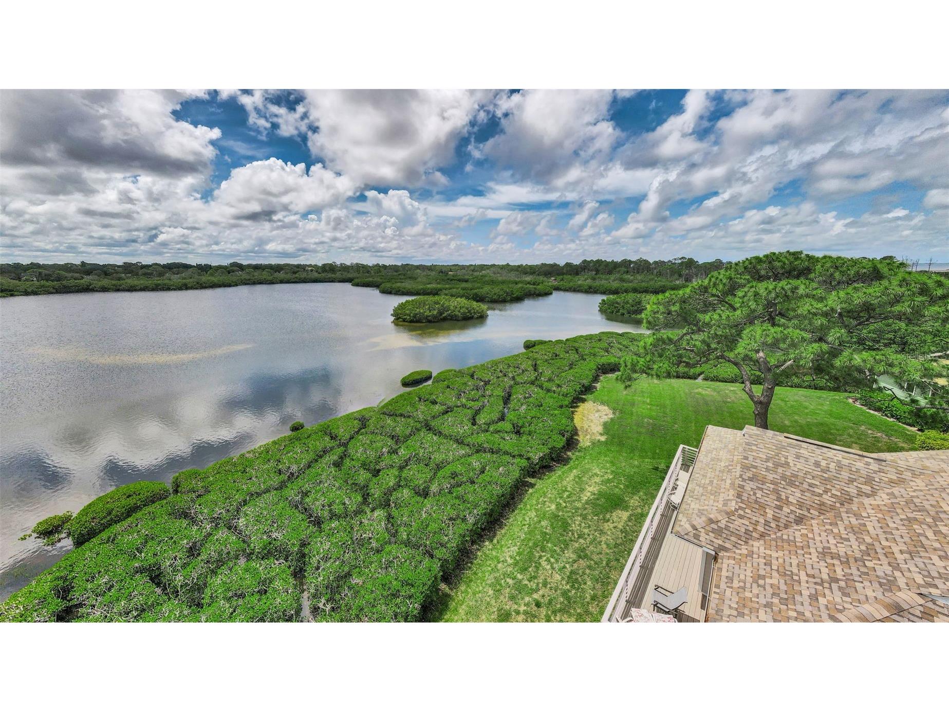 1015 Teal Pointe Tarpon Springs FL 34689 - LAKE AVOCA TB8513532 image57