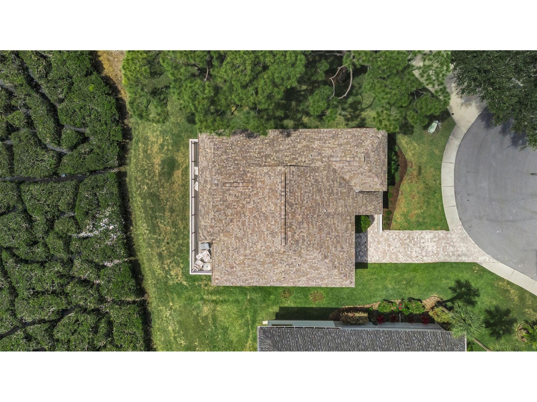 1015 Teal Pointe Tarpon Springs FL 34689 - LAKE AVOCA TB8513532 image6