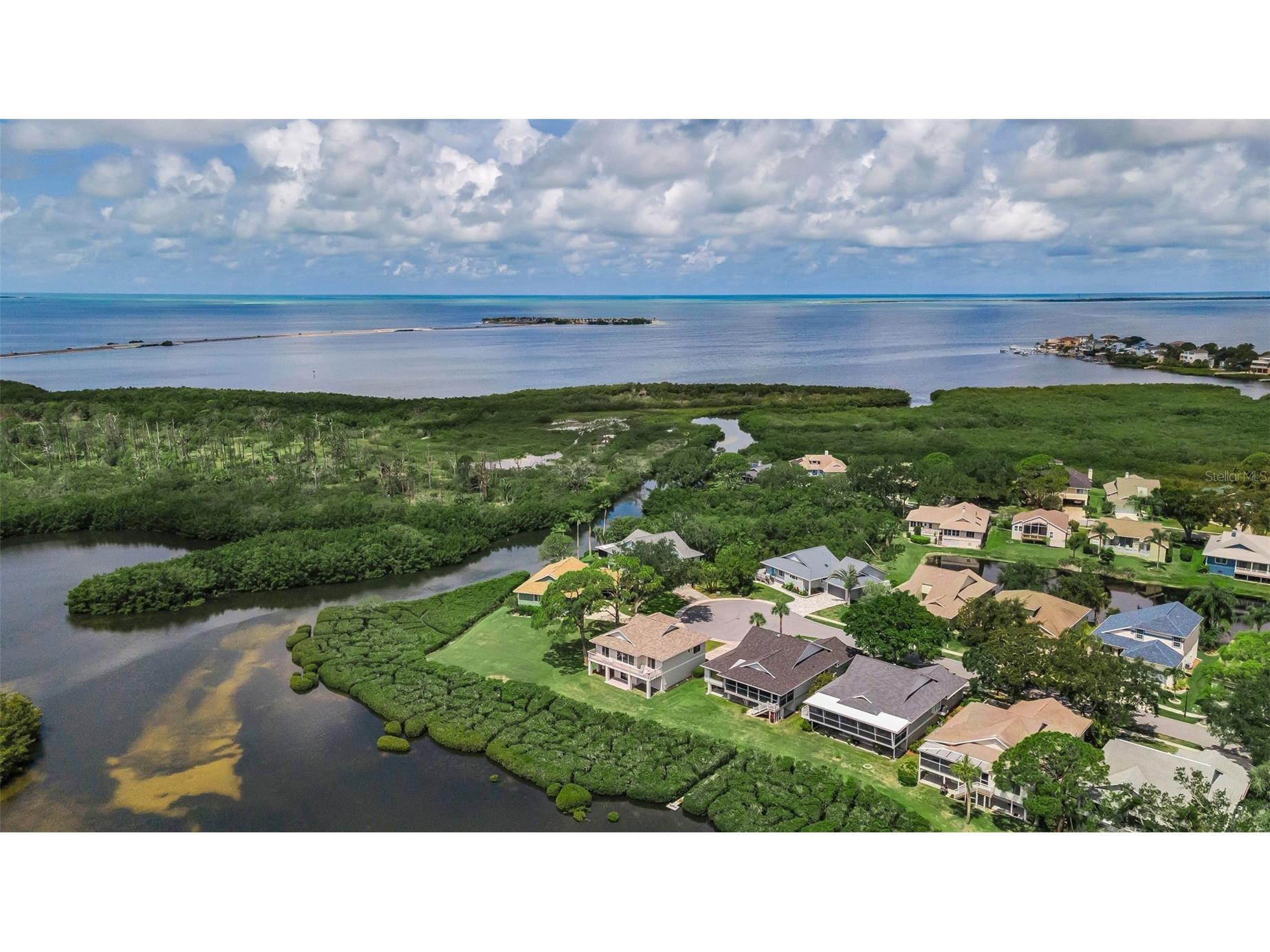 1015 Teal Pointe Tarpon Springs FL 34689 - LAKE AVOCA TB8513532 image60