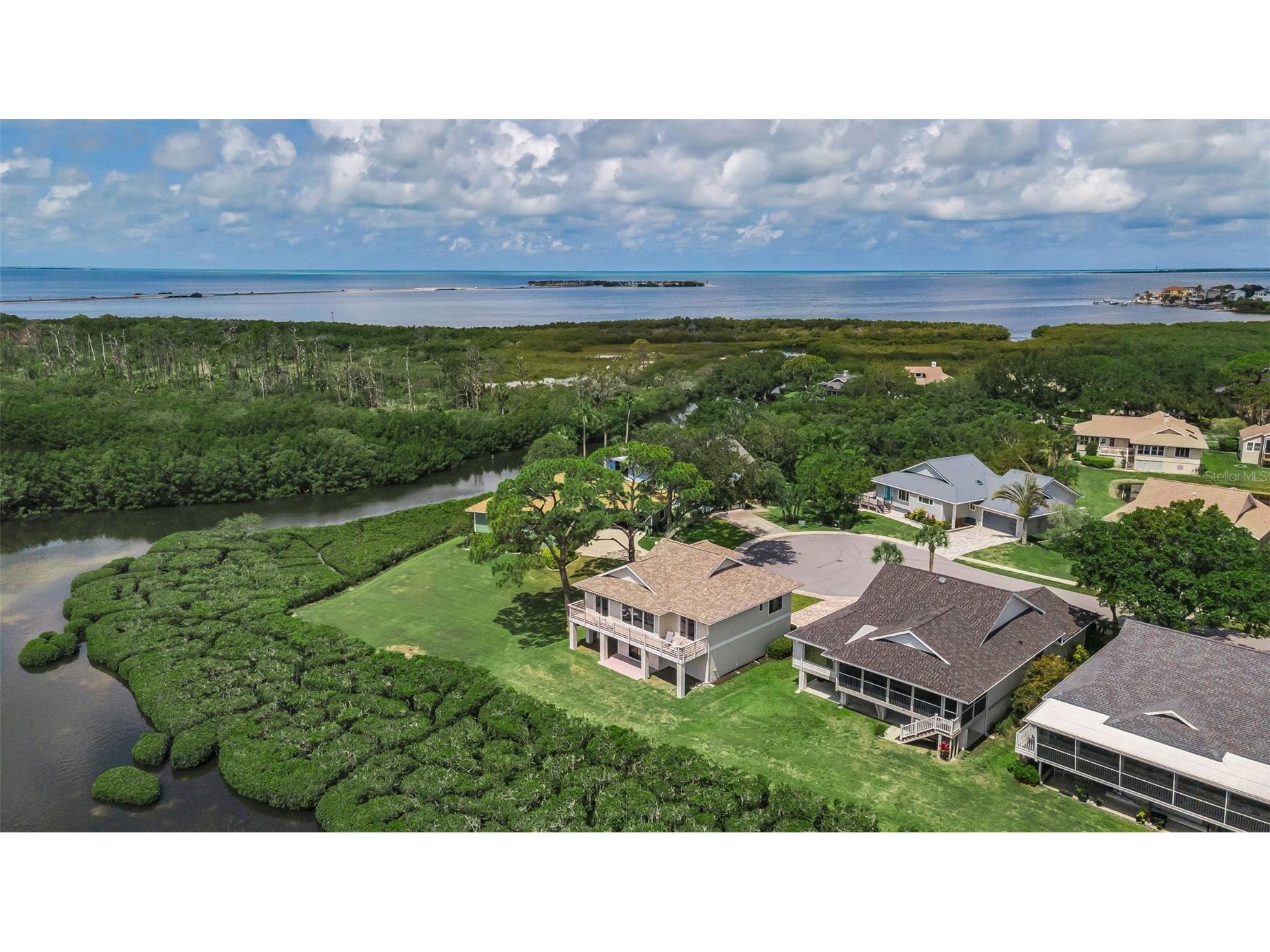 1015 Teal Pointe Tarpon Springs FL 34689 - LAKE AVOCA TB8513532 image61