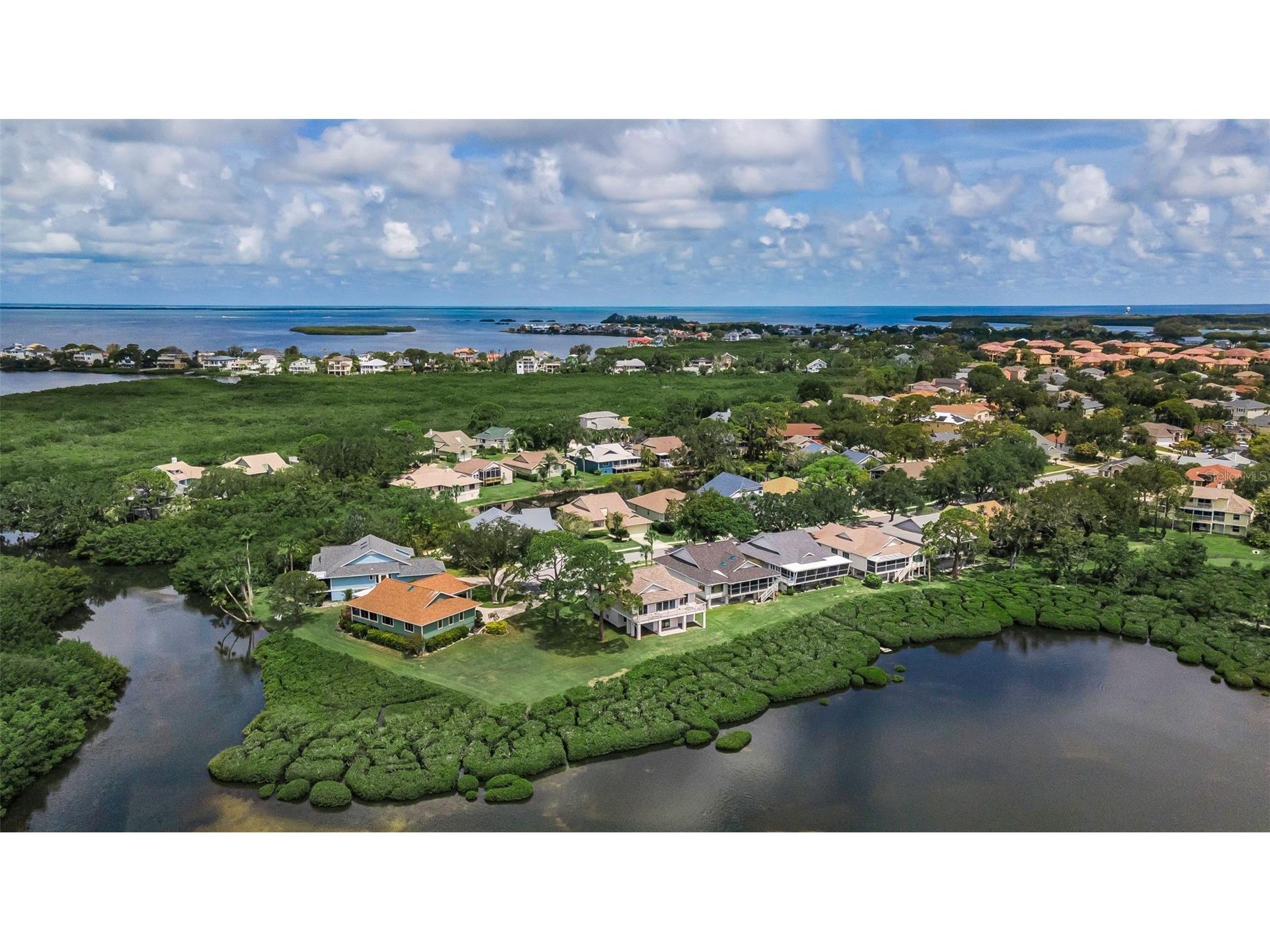 1015 Teal Pointe Tarpon Springs FL 34689 - LAKE AVOCA TB8513532 image63