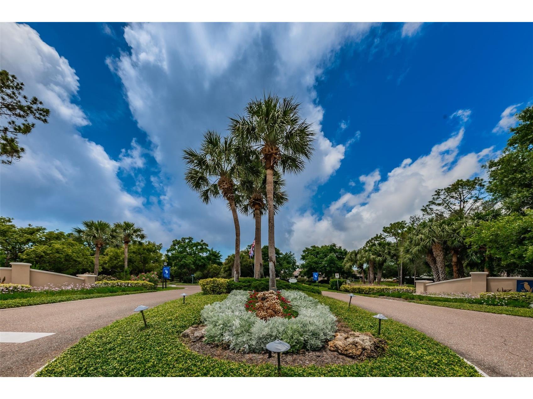 1015 Teal Pointe Tarpon Springs FL 34689 - LAKE AVOCA TB8513532 image64