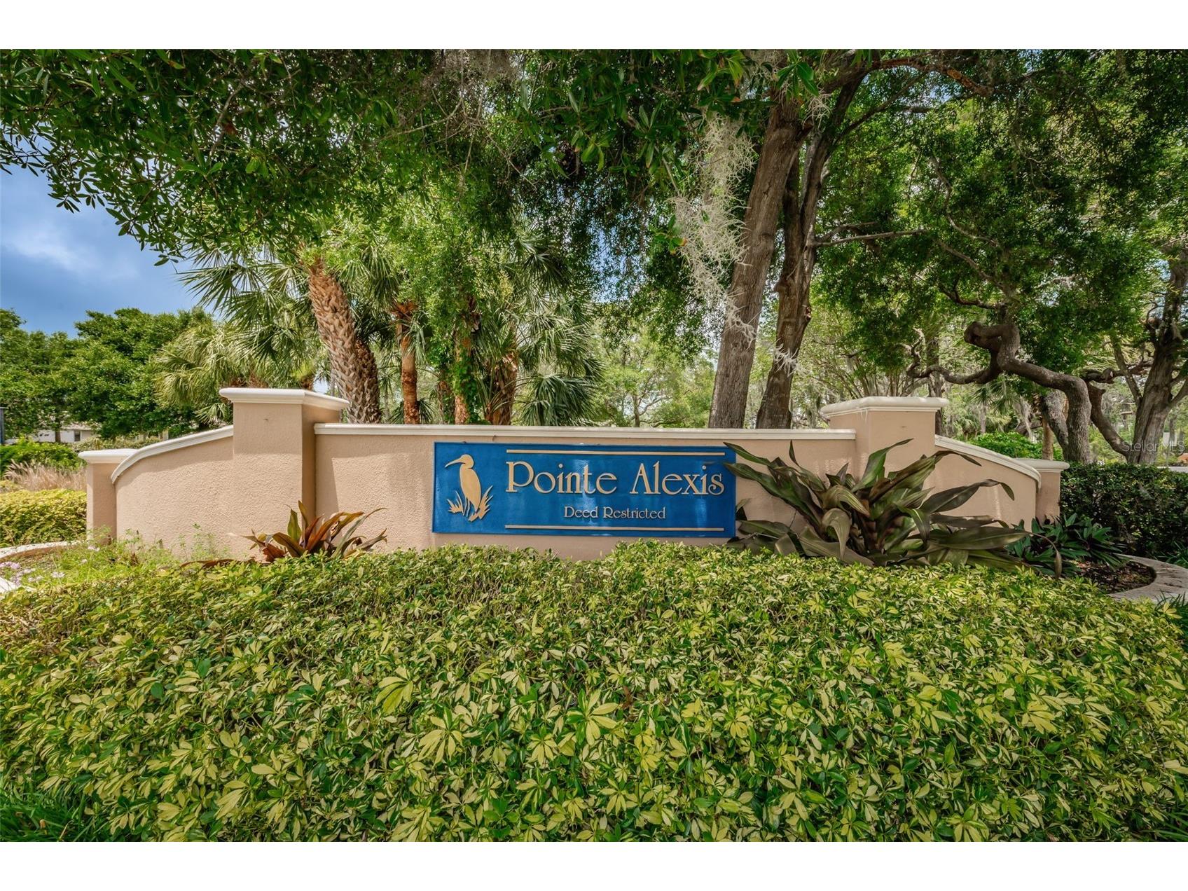 1015 Teal Pointe Tarpon Springs FL 34689 - LAKE AVOCA TB8513532 image66