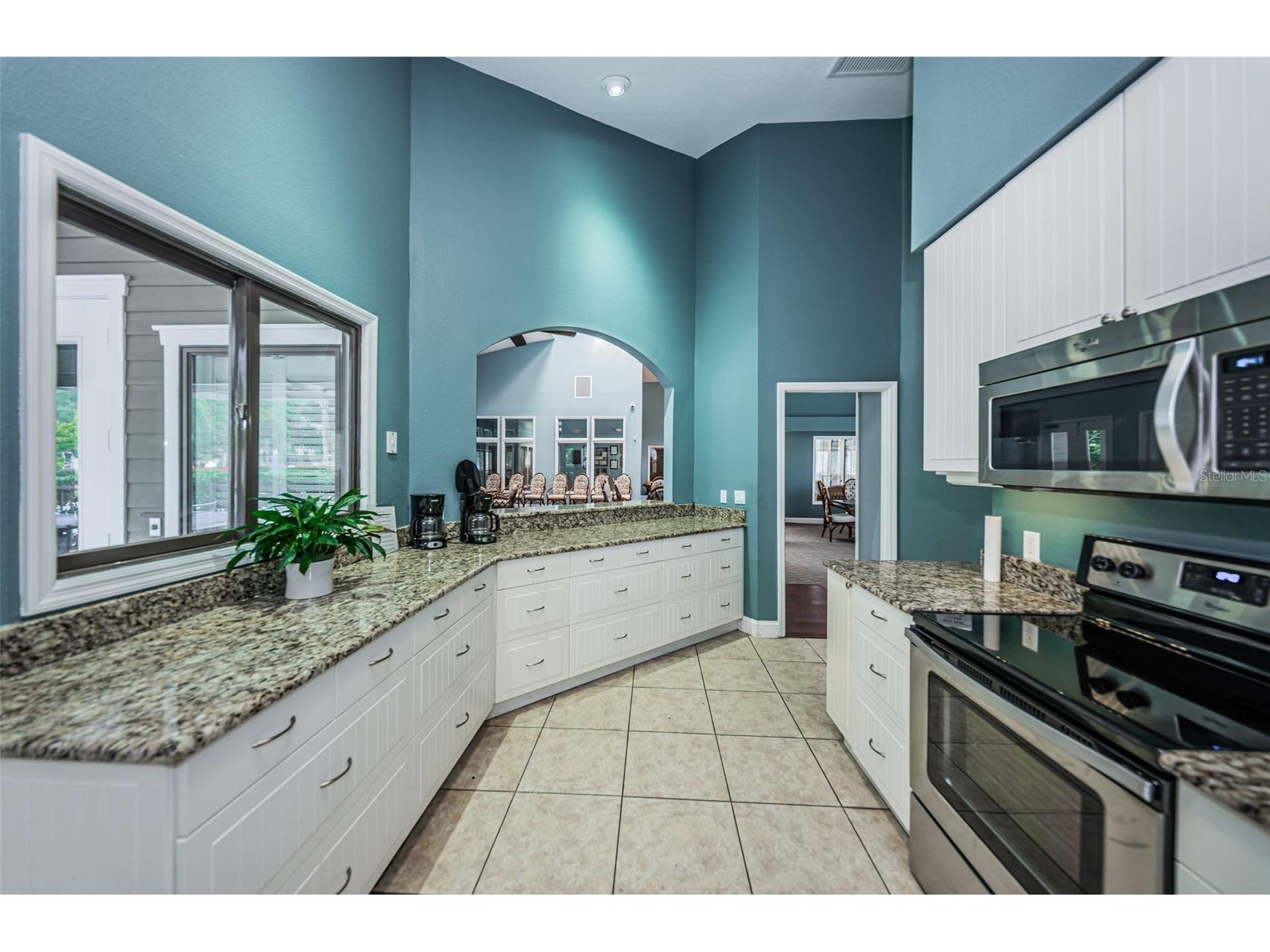 1015 Teal Pointe Tarpon Springs FL 34689 - LAKE AVOCA TB8513532 image75