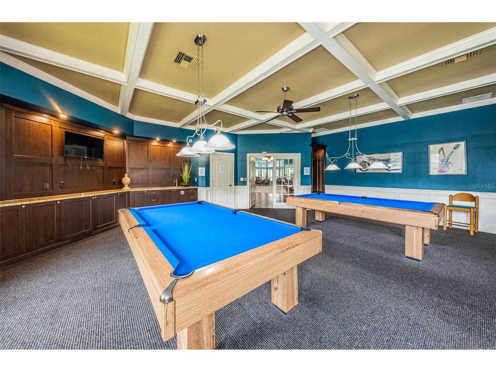 1015 Teal Pointe Tarpon Springs FL 34689 - LAKE AVOCA TB8513532 image77