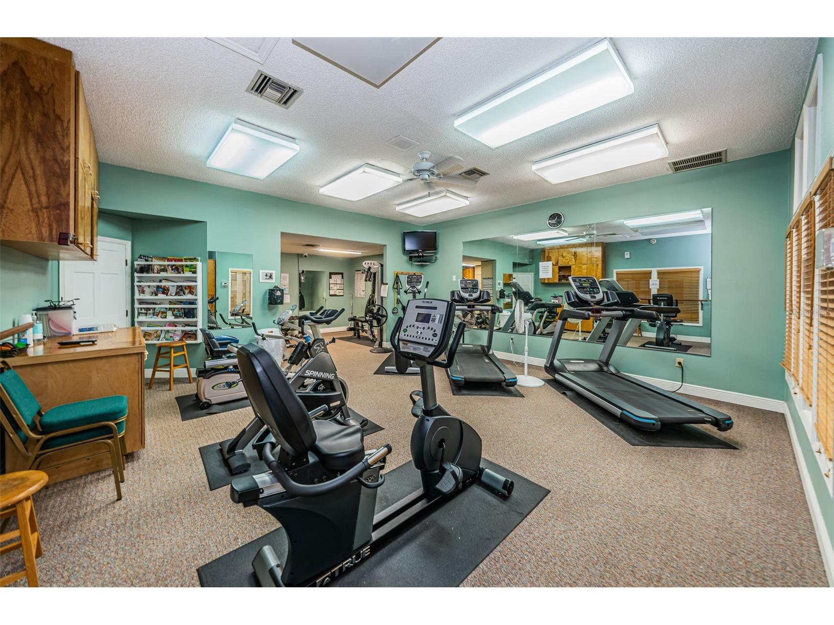 1015 Teal Pointe Tarpon Springs FL 34689 - LAKE AVOCA TB8513532 image78