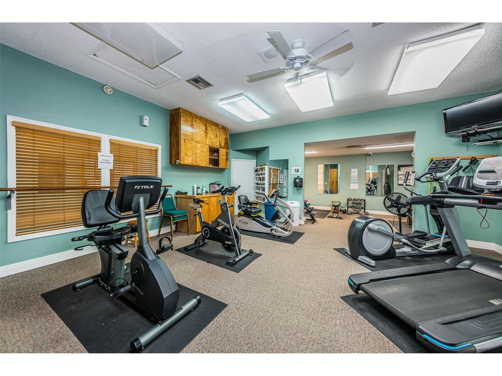 1015 Teal Pointe Tarpon Springs FL 34689 - LAKE AVOCA TB8513532 image79