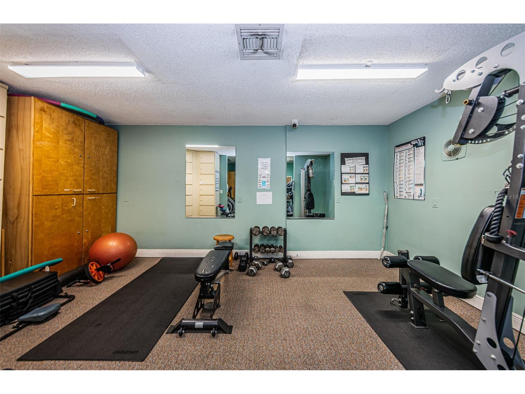 1015 Teal Pointe Tarpon Springs FL 34689 - LAKE AVOCA TB8513532 image80