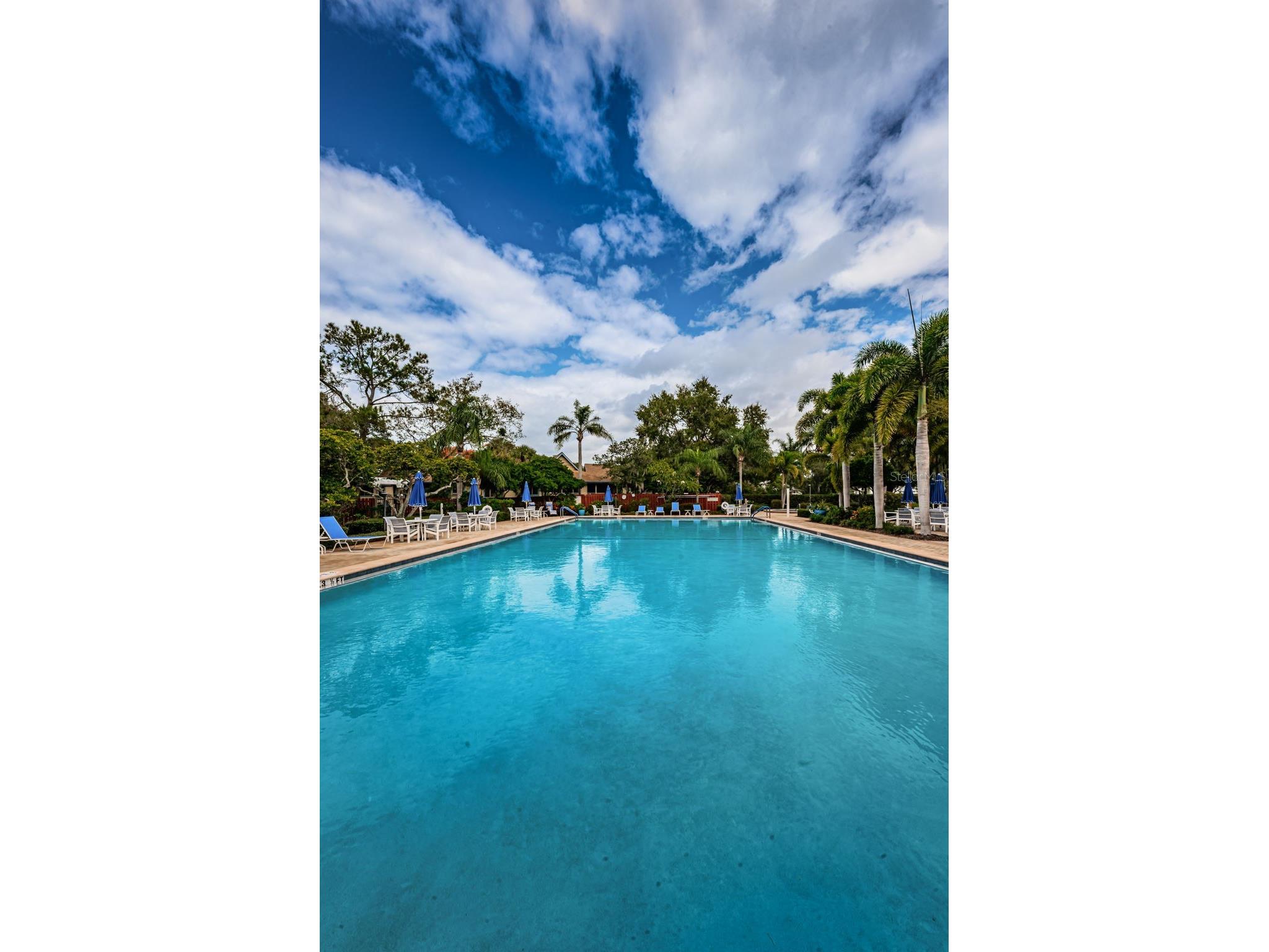 1015 Teal Pointe Tarpon Springs FL 34689 - LAKE AVOCA TB8513532 image86