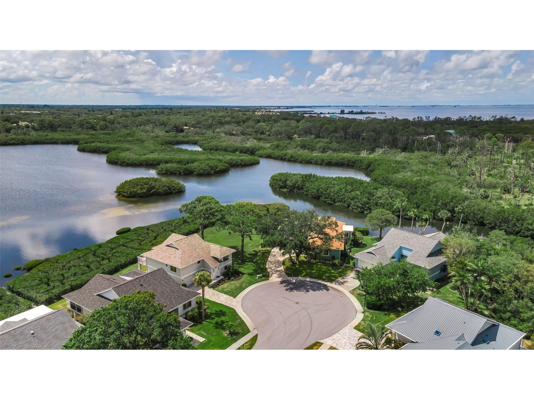 1015 Teal Pointe Tarpon Springs FL 34689 - LAKE AVOCA TB8513532 image9