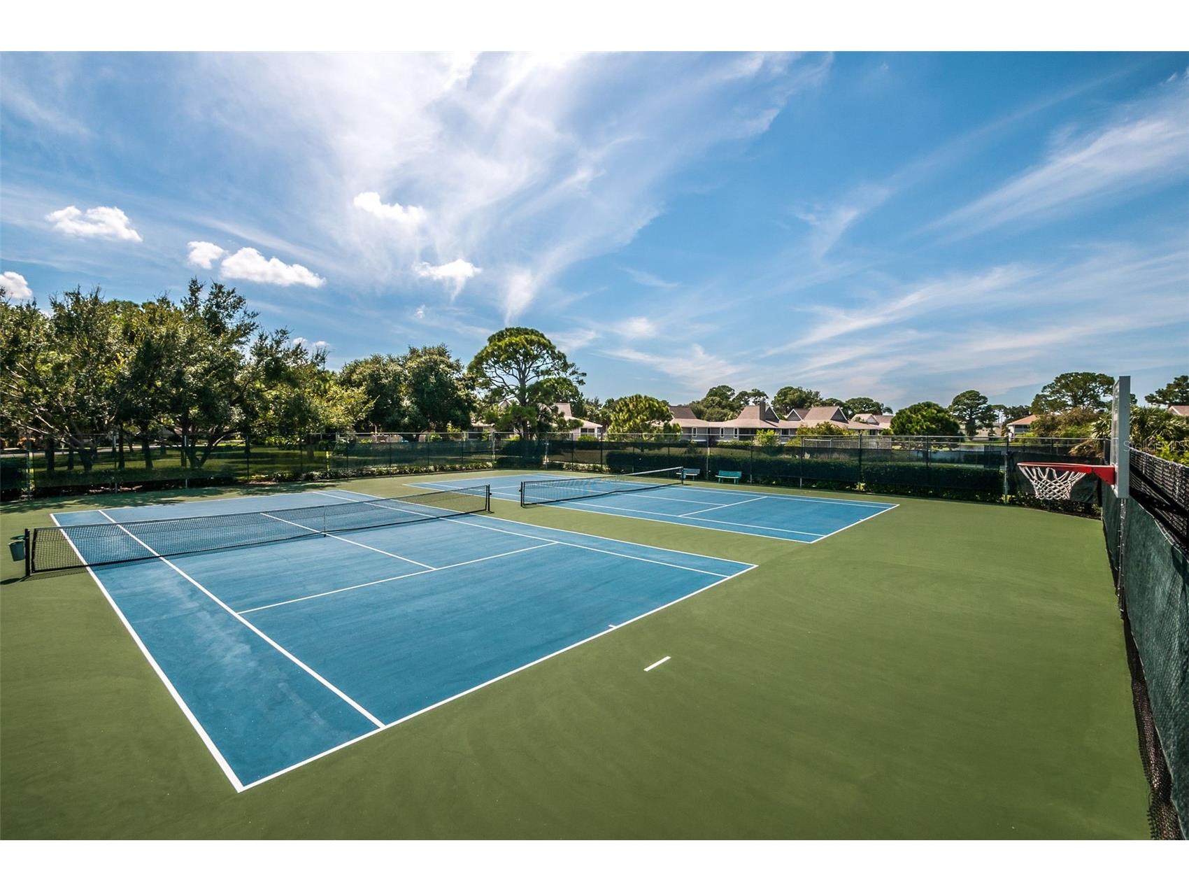 1015 Teal Pointe Tarpon Springs FL 34689 - LAKE AVOCA TB8513532 image94