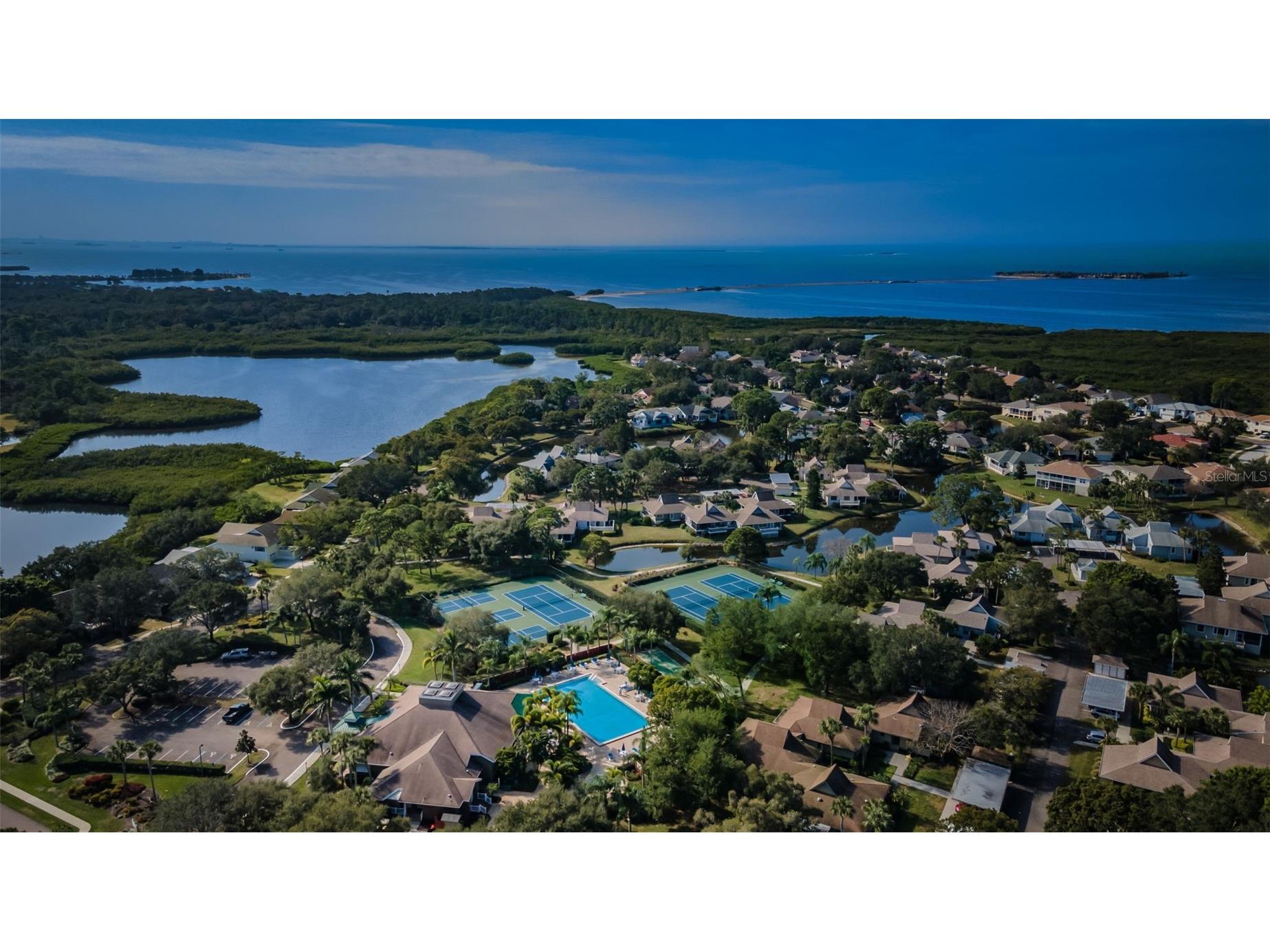 1015 Teal Pointe Tarpon Springs FL 34689 - LAKE AVOCA TB8513532 image98