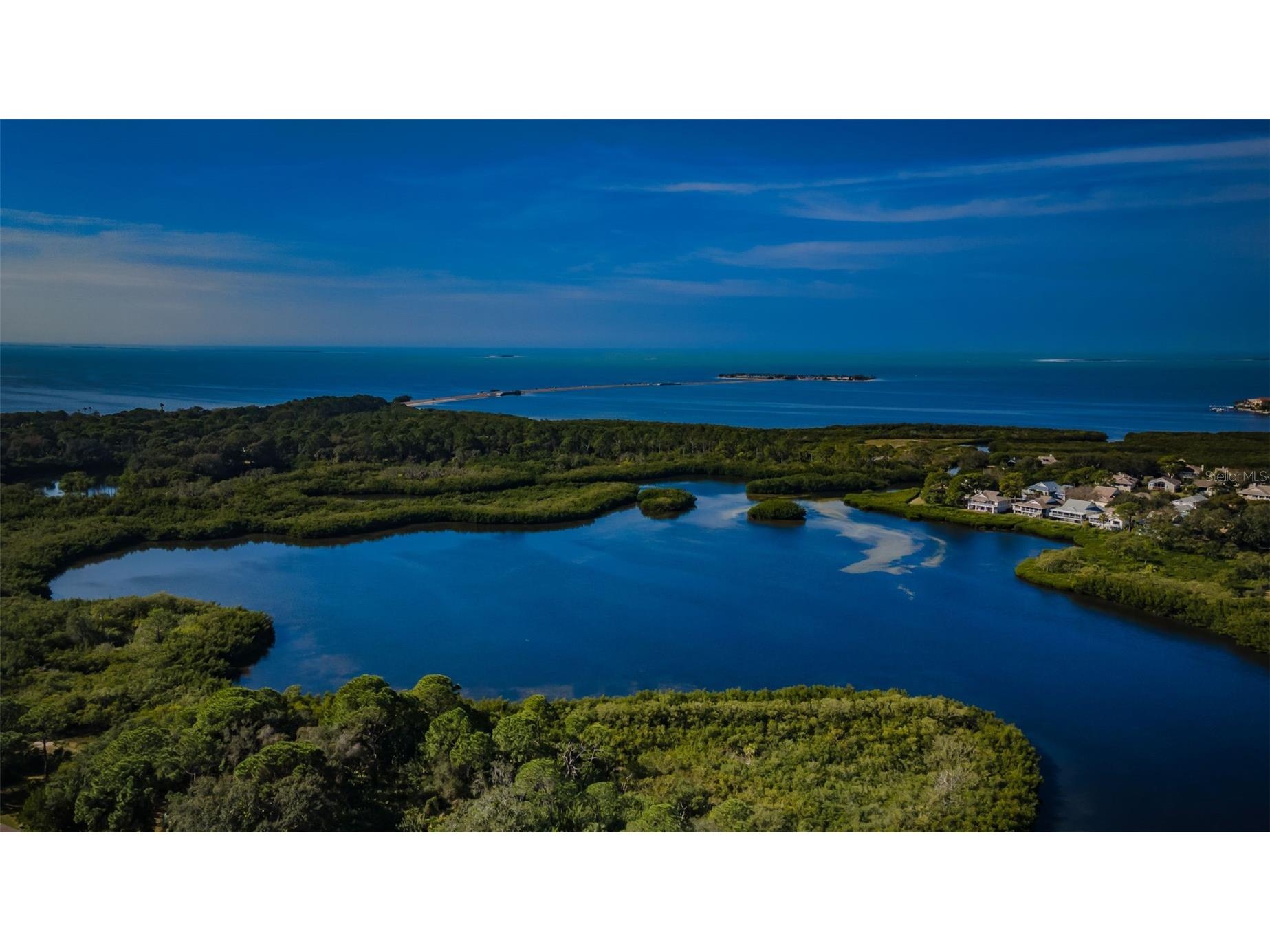 1015 Teal Pointe Tarpon Springs FL 34689 - LAKE AVOCA TB8513532 image99
