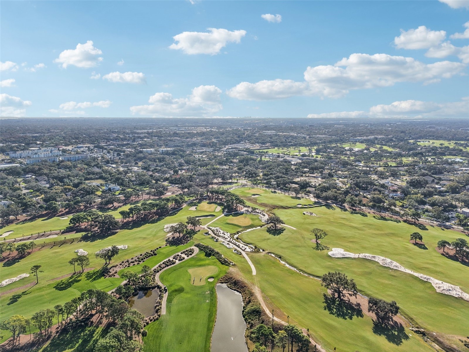 1015 Varona Street Belleair FL 33756 TB8436820 image6