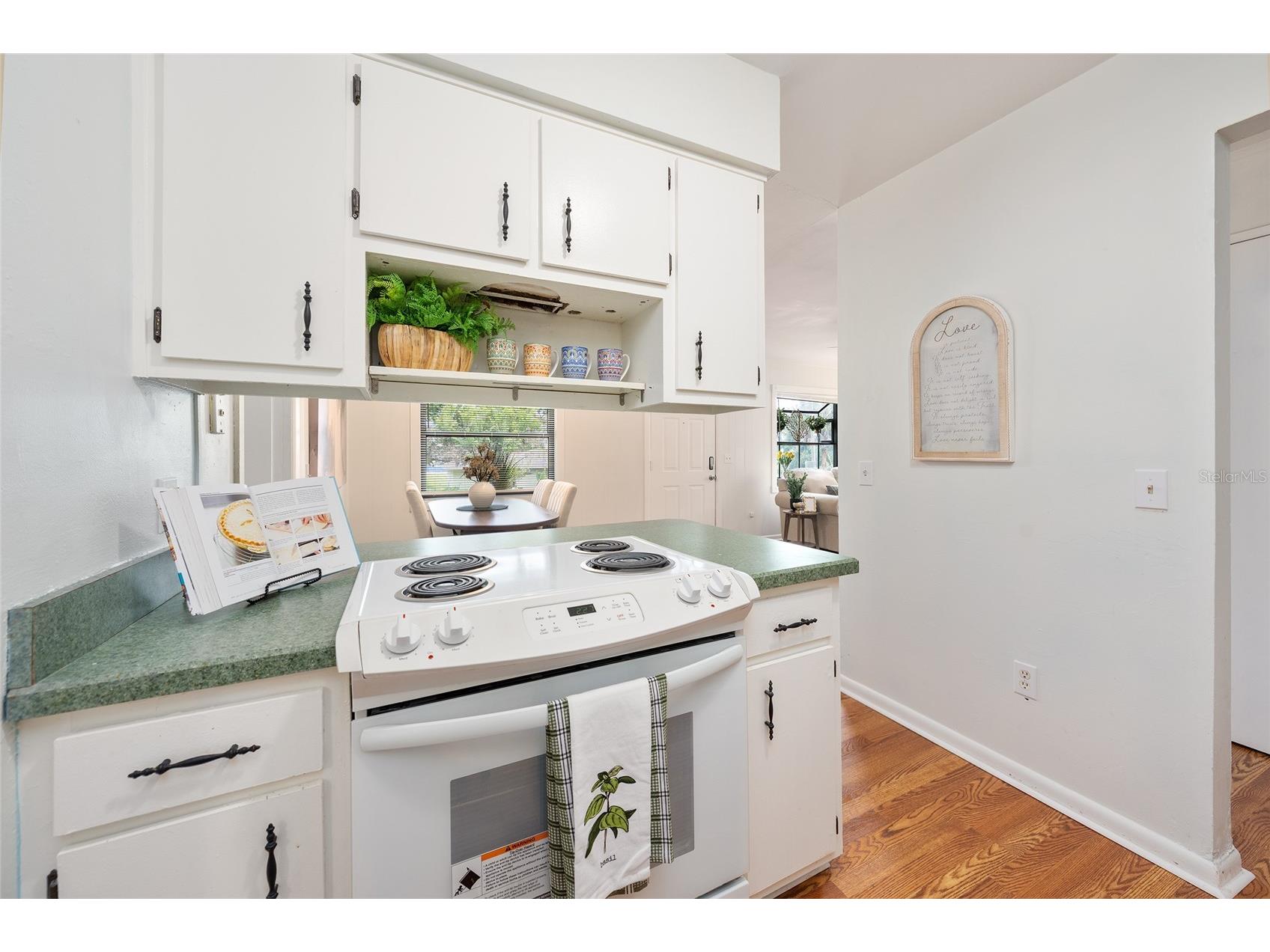 1015 W Montrose Street Clermont FL 34711 G5114581 image19