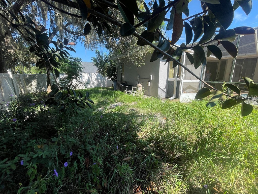 10150 Hermosillo Drive New Port Richey FL 34655 A4665896 image21