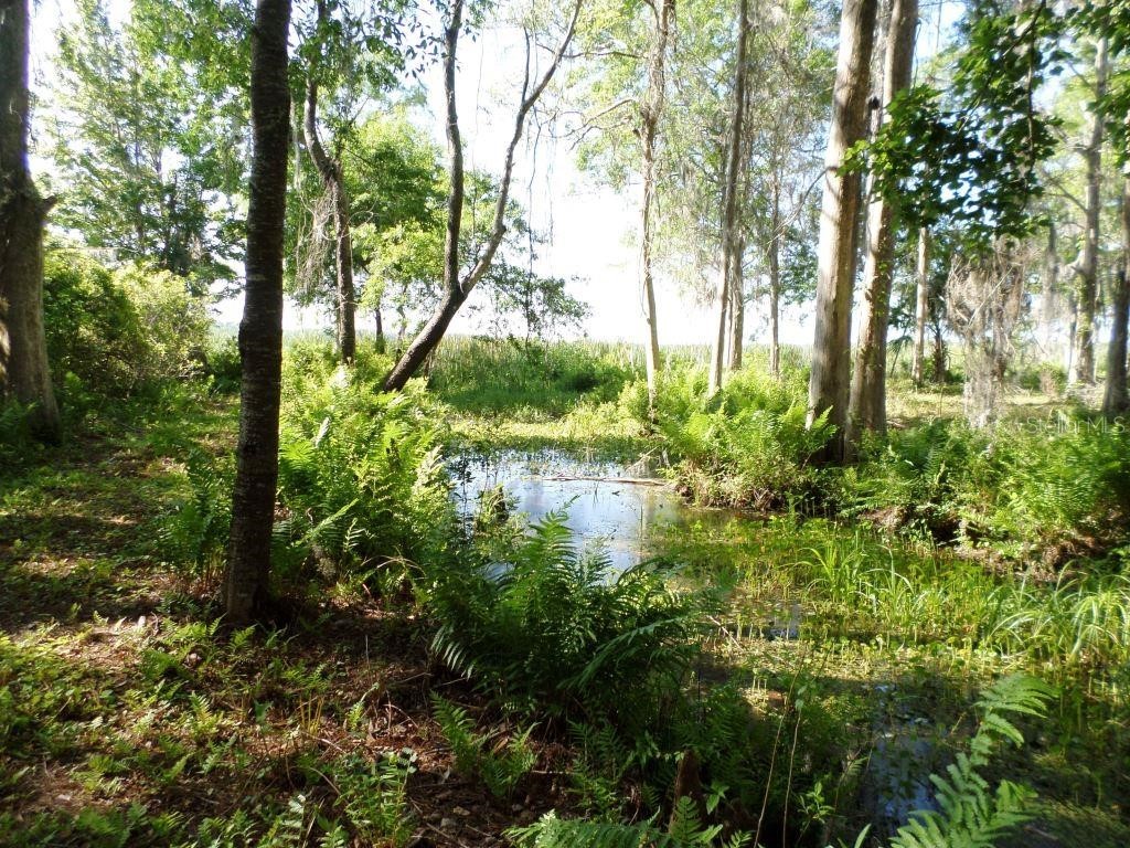 10150 Highway 40 E Inglis FL 34449 - LAKE ROUSSEAU OM699849 image12