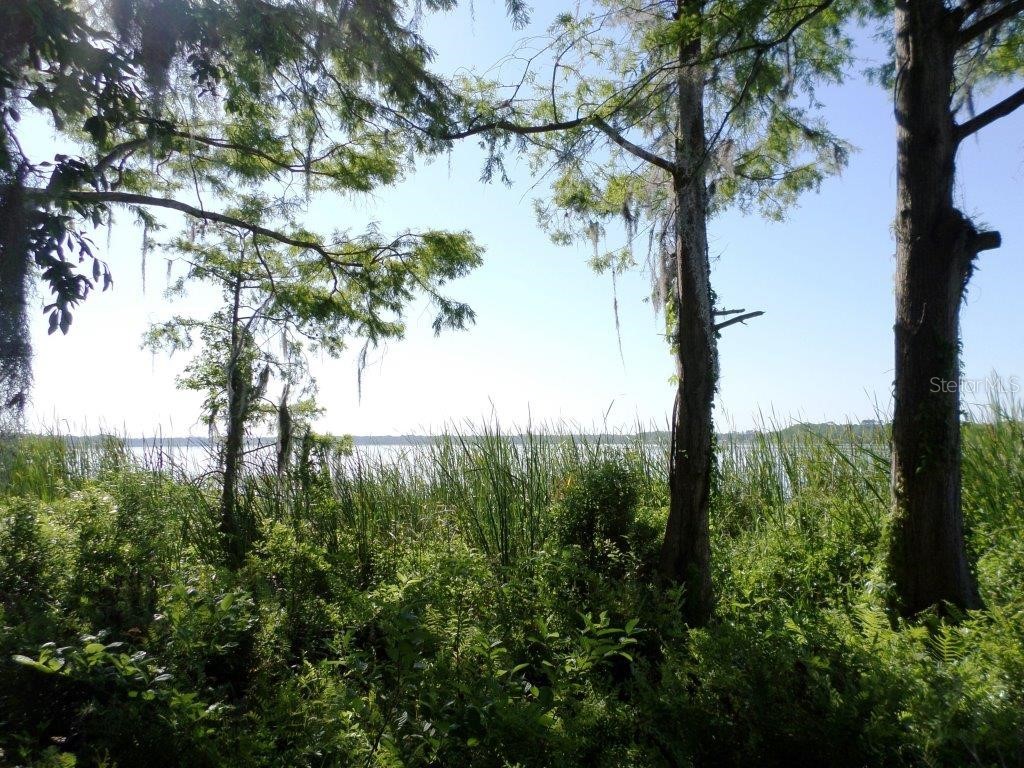 10150 Highway 40 E Inglis FL 34449 - LAKE ROUSSEAU OM699849 image4