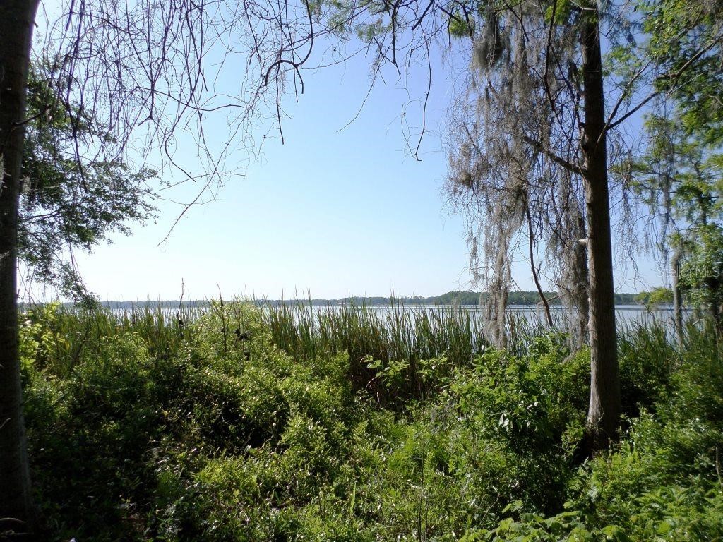 10150 Highway 40 E Inglis FL 34449 - LAKE ROUSSEAU OM699849 image5