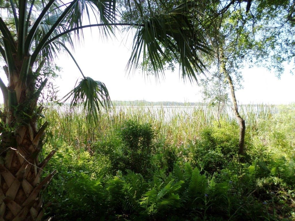 10150 Highway 40 E Inglis FL 34449 - LAKE ROUSSEAU OM699849 image6