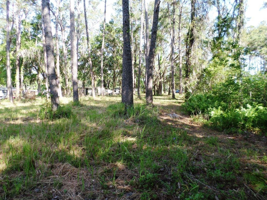 10150 Highway 40 E Inglis FL 34449 - LAKE ROUSSEAU OM699849 image9