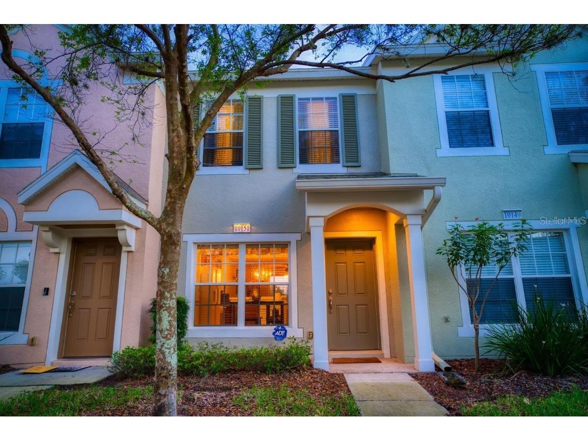 10151 Bessemer Pond Court Riverview FL 33578 T3406953 image1