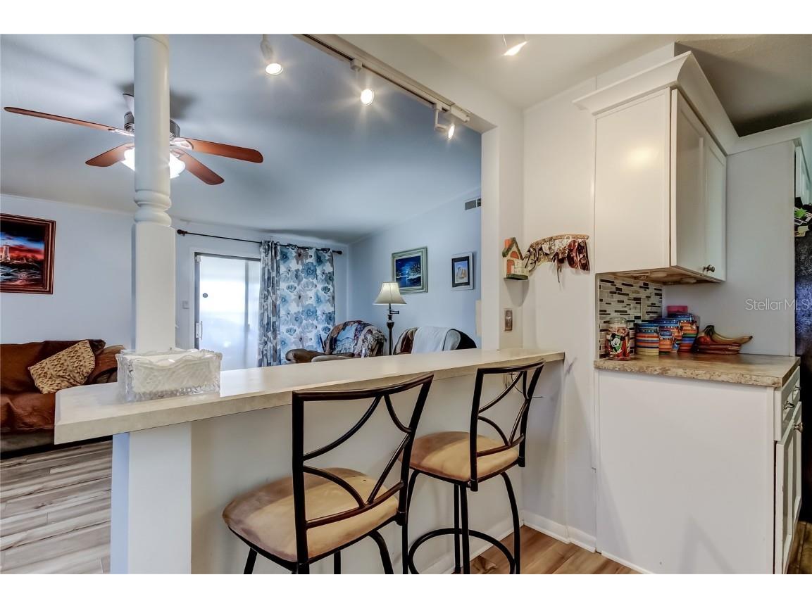 10151 Hamp Drive Dade City FL 33525 TB8446247 image16