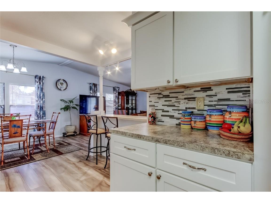 10151 Hamp Drive Dade City FL 33525 TB8446247 image22