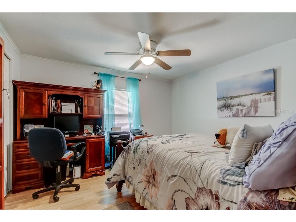 10151 Hamp Drive Dade City FL 33525 TB8446247 image34